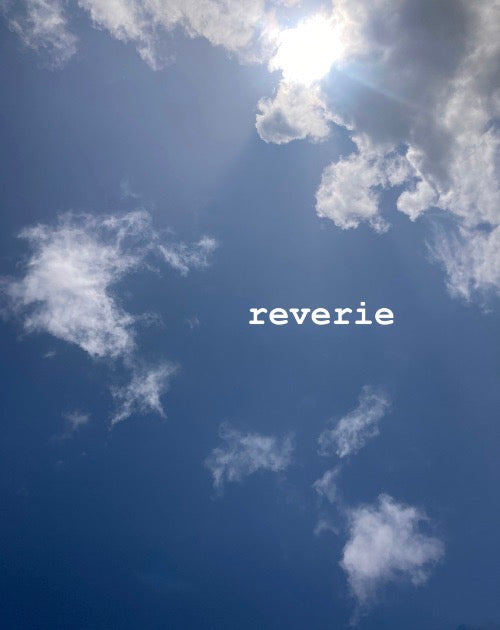 McGing's Open Call : reverie