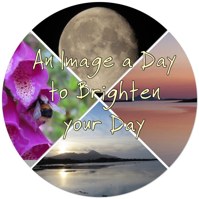 An Image a Day Exhibition