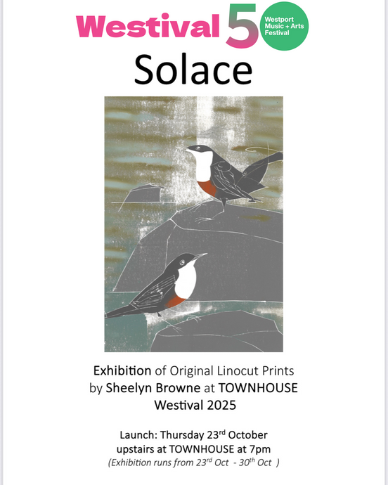 Sheelyn Browne - Exhibition